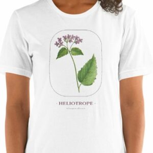 Heliotrope