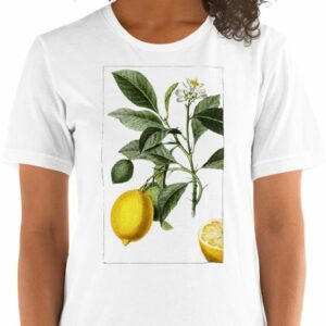 Lemon Branch